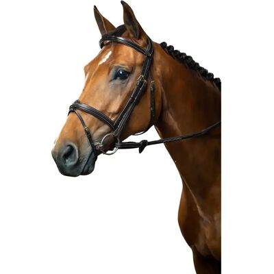 Dyon Trense Dy'on Schwarz Pony Dyon Trense Dy'on Schwarz Pony