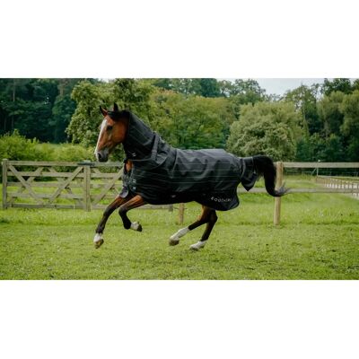 Outdoor-Decke für Pferde Equithème Tyrex Lumin 600D 100g Noir 155 cm Outdoor-Decke für Pferde Equithème Tyrex Lumin 600D 100g Noir 155 cm