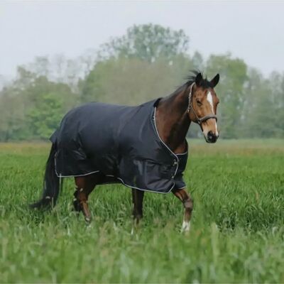 Outdoor-Decke für Pferde Equithème Tyrex 600D 50g Schwarz 206 cm Outdoor-Decke für Pferde Equithème Tyrex 600D 50g Schwarz 206 cm