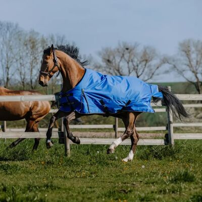 Outdoor-Decke für Pferde Equithème Tyrex Aisance 1200D 300g Blau 183 cm Outdoor-Decke für Pferde Equithème Tyrex Aisance 1200D 300g Blau 183 cm