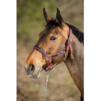 Halfter HFI First Rot Pony Halfter HFI First Rot Pony
