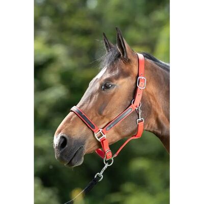 Halfter HFI First Rot Pony Halfter HFI First Rot Pony