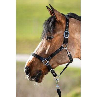 Halfter HFI Smart Schwarz Cob Halfter HFI Smart Schwarz Cob