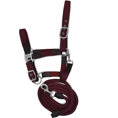 Set aus Halfter und Longiergurt für Pferde nylon HFI Néoprène Smart Rot Cob Set aus Halfter und Longiergurt für Pferde nylon HFI Néoprène Smart Rot Cob