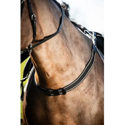 Bricole Reiten elastisch einfach HFI Braun Cob Bricole Reiten elastisch einfach HFI Braun Cob