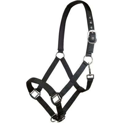 Nylonhalfter für Pferde mit weichem Futter HKM Charming Noir Zugpferd Nylonhalfter für Pferde mit weichem Futter HKM Charming Noir Zugpferd