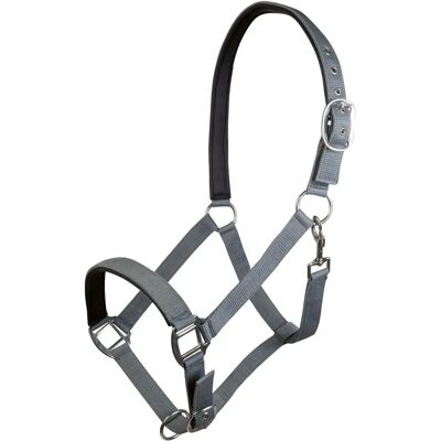 Nylonhalfter für Pferde mit weichem Futter HKM Charming Gris Zugpferd Nylonhalfter für Pferde mit weichem Futter HKM Charming Gris Zugpferd
