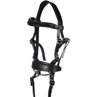Reitzeug HKM Kids Basic Noir TU Reitzeug HKM Kids Basic Noir TU