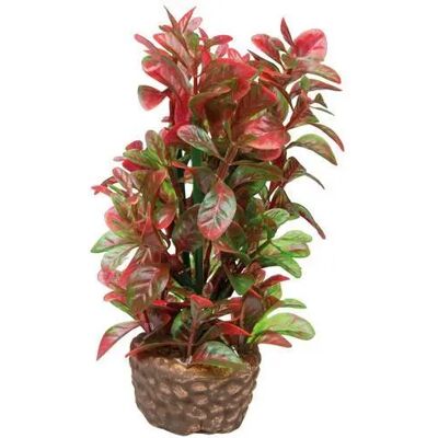 Aquariumdekoration Hobby Flora Stone 4 Rouge 4x13 cm Aquariumdekoration Hobby Flora Stone 4 Rouge 4x13 cm
