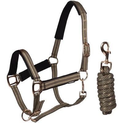 Set aus Halfter und Longiergurt für Pferde HORKA Deluxe Braun Pony Set aus Halfter und Longiergurt für Pferde HORKA Deluxe Braun Pony