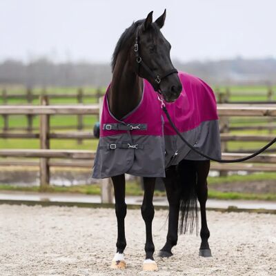 Outdoor-Decke für Pferde mit Halsabdeckung Imperial Riding Limited Summer Violet 165 cm Outdoor-Decke für Pferde mit Halsabdeckung Imperial Riding Limited Summer Violet 165 cm