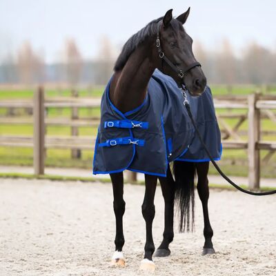 Outdoor-Decke für Pferde mit Halsabdeckung Imperial Riding Limited Summer Bleu 175 cm Outdoor-Decke für Pferde mit Halsabdeckung Imperial Riding Limited Summer Bleu 175 cm