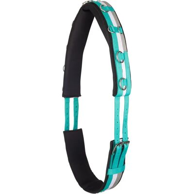 Voltigiergurt für Pferde aus Nylon Imperial Riding Deluxe Blau Cob Voltigiergurt für Pferde aus Nylon Imperial Riding Deluxe Blau Cob