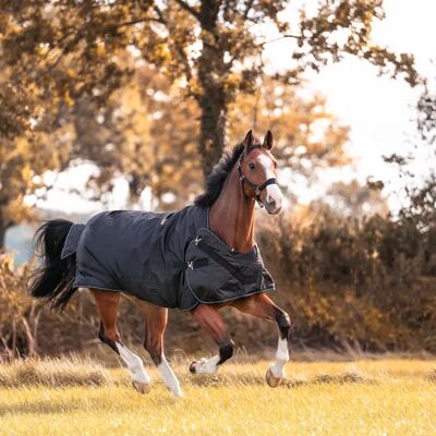 Stalldecke für Pferde 2in1 Outdoor und Führanlage Kavalkade Halifax Schwarz 135 cm Stalldecke für Pferde 2in1 Outdoor und Führanlage Kavalkade Halifax Schwarz 135 cm