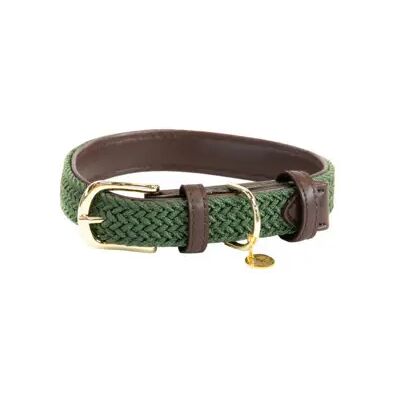 Kentucky Dogwear Olivgrünes Nylon Hundehalsband XS - Hundehalsband Kentucky Dogwear Olivgrünes Nylon Hundehalsband XS - Hundehalsband