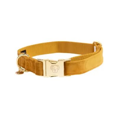 Kentucky Dogwear Samt-Hundehalsband Senfgelb - XL Kentucky Dogwear Samt-Hundehalsband Senfgelb - XL