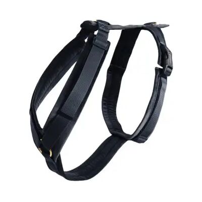 Kentucky Dogwear XXS Samt Hundegeschirr - Hundegeschirr Kentucky Dogwear XXS Samt Hundegeschirr - Hundegeschirr