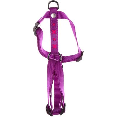 Hunde-Geschirr Kreuz Nylon Martin Sellier Rose S (16/30-50 cm) Hunde-Geschirr Kreuz Nylon Martin Sellier Rose S (16/30-50 cm)