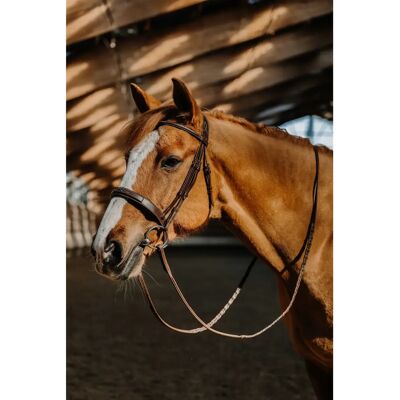 Trense Norton Hunter Fancy Braun Cob Trense Norton Hunter Fancy Braun Cob