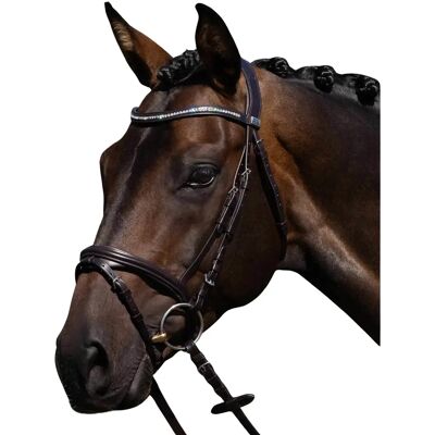 Reittrense Premier Equine Rivere Braun XFull Reittrense Premier Equine Rivere Braun XFull