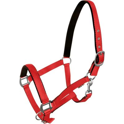 Halfter für Pferd York Rouge Full Halfter für Pferd York Rouge Full