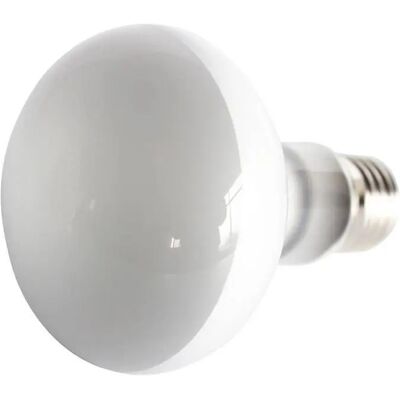 Glühbirne Reptiles Planet Repti UVA Blanc 50 W Glühbirne Reptiles Planet Repti UVA Blanc 50 W