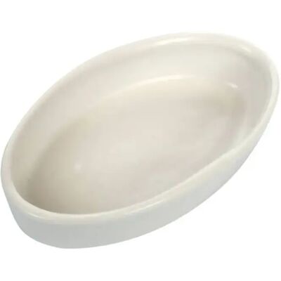 Keramikbassin Reptiles Planet Blanc 8x4x1,5 cm Keramikbassin Reptiles Planet Blanc 8x4x1,5 cm