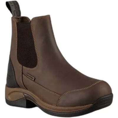 Wasserdichte Reitstiefel Premier Equine Borelli Chelsea Marron 38 Wasserdichte Reitstiefel Premier Equine Borelli Chelsea Marron 38
