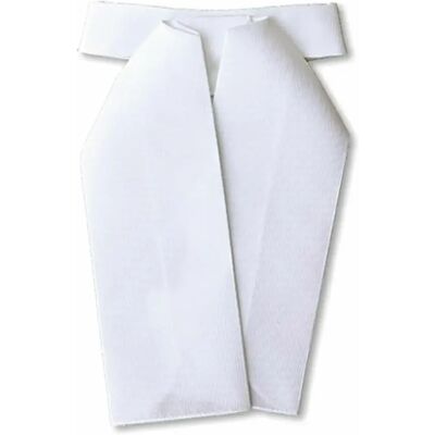 Plastron aus Baumwolle Tattini Blanc TU Plastron aus Baumwolle Tattini Blanc TU
