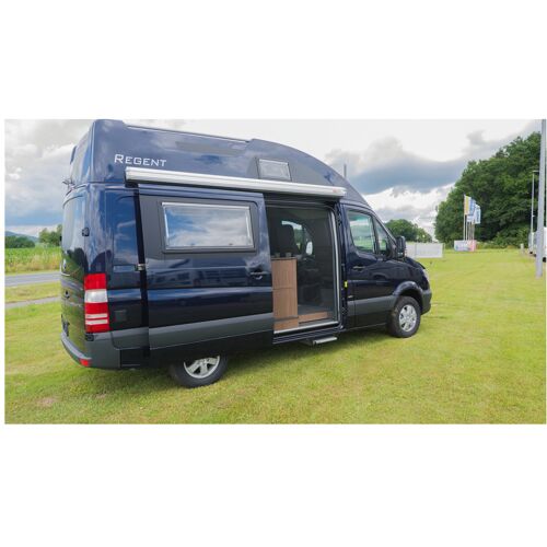 Remis Fliegenschutztür 1650x1360mm, MB Sprinter,niedrige Variante