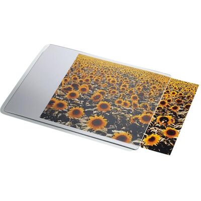 Leitz Mousepad, Mausmatte, Weiss, Transparent Leitz Mousepad, Mausmatte, Weiss, Transparent