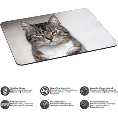 Pedea Gaming Office Mauspad XL cat mit vernähten Rändern und rutschfester Unterseite (XL), Mausmatte, Mehrfarbig Pedea Gaming Office Mauspad XL cat mit vernähten Rändern und rutschfester Unterseite (XL), Mausmatte, Mehrfarbig