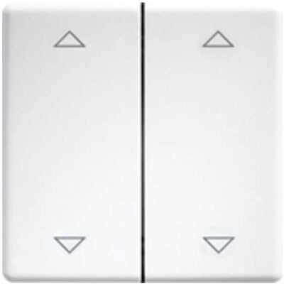 Eltako DW-FT55-rw+2P Doppelwippe - Schalter Eltako DW-FT55-rw+2P Doppelwippe - Schalter
