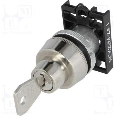Romet Schalter: Drehschalter mit Schlüssel 22mm Stab.Pos: 2 grau, Schalter + Taster, Grau Romet Schalter: Drehschalter mit Schlüssel 22mm Stab.Pos: 2 grau, Schalter + Taster, Grau
