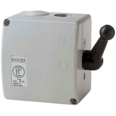 Elektra TWG80, Schalter + Taster Elektra TWG80, Schalter + Taster