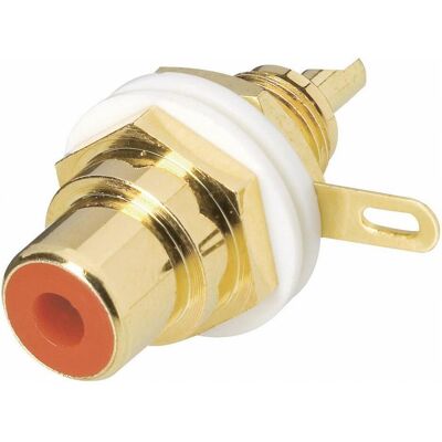 BKL Electronic Cinch-Einbaubuchse vergoldet, Elektronikkabel + Stecker, Rot BKL Electronic Cinch-Einbaubuchse vergoldet, Elektronikkabel + Stecker, Rot