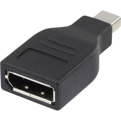 Renkforce RF-4174572 Mini DisplayPort zu DisplayPort Adapter - Schwarz Renkforce RF-4174572 Mini DisplayPort zu DisplayPort Adapter - Schwarz
