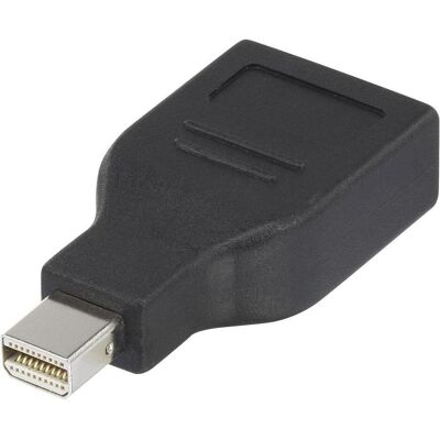 Renkforce RF-4174572 Mini DisplayPort zu DisplayPort Adapter - Schwarz Renkforce RF-4174572 Mini DisplayPort zu DisplayPort Adapter - Schwarz
