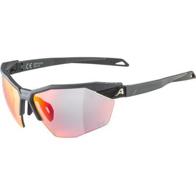 Alpina Twist Six HR QV grau - Unisex Sonnenbrille Alpina Twist Six HR QV grau - Unisex Sonnenbrille
