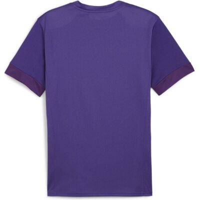 Puma Herren Sportshirt teamGOAL Matchday Jersey - Sports shirt Puma Herren Sportshirt teamGOAL Matchday Jersey - Sports shirt