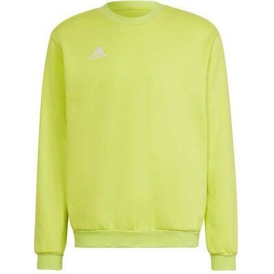 Adidas Herren, Pullover, Entrada 22 Sweatshirt Herren, Gelb, (L) Adidas Herren, Pullover, Entrada 22 Sweatshirt Herren, Gelb, (L)