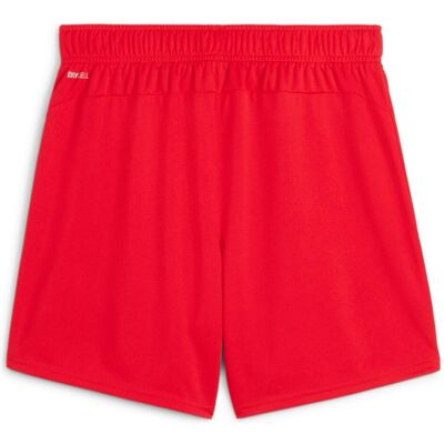 Puma L dryCELL Sports-Shorts Puma L dryCELL Sports-Shorts