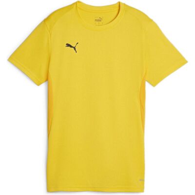 Puma Damen Sportshirt teamGOAL Jersey Wmn - Sportshirt Puma Damen Sportshirt teamGOAL Jersey Wmn - Sportshirt