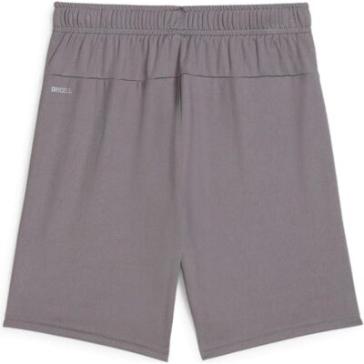 Puma Jungen, Sporthose, teamGOAL Shorts Jr (164) - Sporthose Puma Jungen, Sporthose, teamGOAL Shorts Jr (164) - Sporthose
