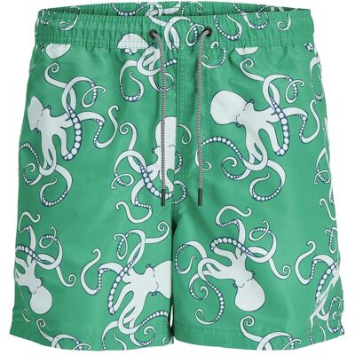 Jack & Jones, Herren, Badehosen, Jpstfiji Jjswim Aop Ss24 Ly Pls, Grün, Blau, (42) Jack & Jones, Herren, Badehosen, Jpstfiji Jjswim Aop Ss24 Ly Pls, Grün, Blau, (42)
