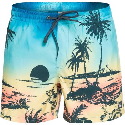 Quiksilver, Herren, Badehosen, Everyday Paradise Volley 15, Mehrfarbig, (M) Quiksilver, Herren, Badehosen, Everyday Paradise Volley 15, Mehrfarbig, (M)