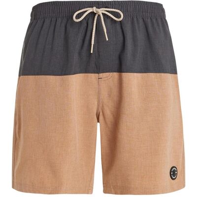 Protest, Herren, Badehosen, Herren Beachshorts PRTFORTA Sealbeige L, Braun, (L) Protest, Herren, Badehosen, Herren Beachshorts PRTFORTA Sealbeige L, Braun, (L)