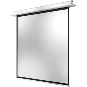 Celexon Deckeneinbau Motor Professional + (155.91", 1:1), Leinwand, Weiss Celexon Deckeneinbau Motor Professional + (155.91", 1:1), Leinwand, Weiss