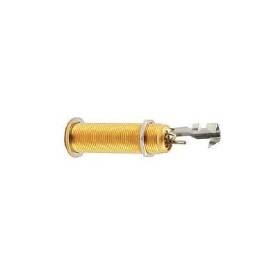 AllParts AP EP 0152-002 Klinkenbuchse stereo gold (Instrumenten Ersatzteile), Zubehör Instrumente, Gold AllParts AP EP 0152-002 Klinkenbuchse stereo gold (Instrumenten Ersatzteile), Zubehör Instrumente, Gold