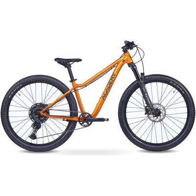 ACADEMY Mountainbike, (38 cm) ACADEMY Mountainbike, (38 cm)